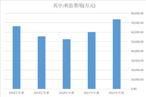 太陽紙業(yè),朝陽還是夕陽